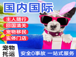 西昌航空快运国际宠物托运 【国